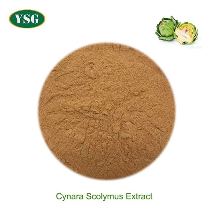 Cynara Scolymus -uute