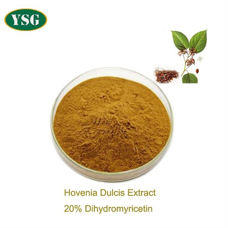 Hovenia Dulcis -hedelmäuute